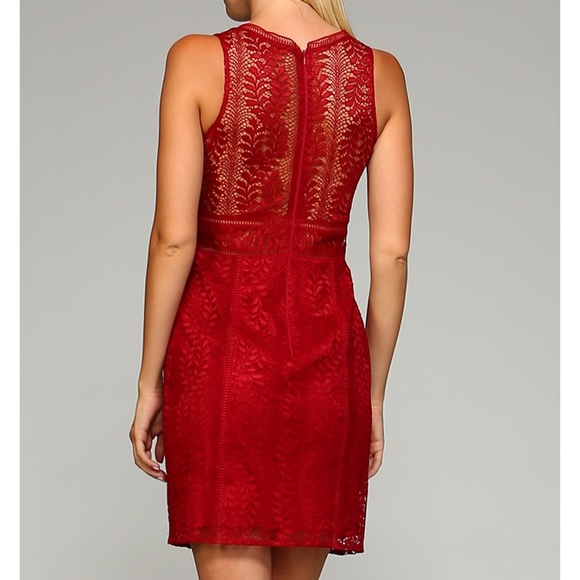 Short Burgundy Lace Dress NWT party dress - Picture 4 of 4